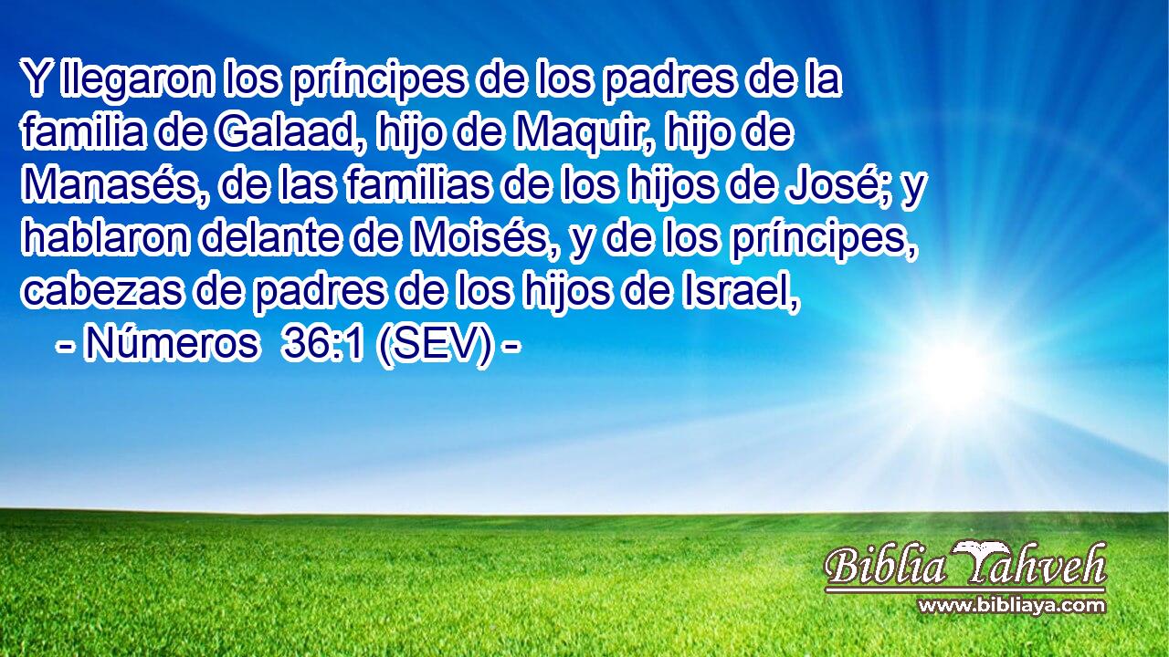 Y llegaron los príncipes de los padres de la familia de Galaad, hijo de Maquir, hijo de Manasés, de las familias de los hijos de José; y hablaron delante de Moisés, y de los príncipes, cabezas de padres de los hijos de Israel,