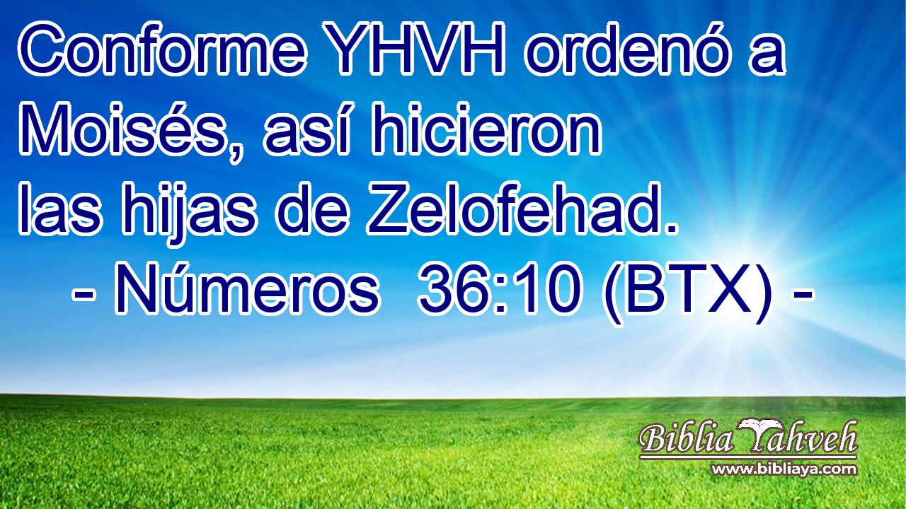 Conforme YHVH ordenó a Moisés, así hicieron las hijas de Zelofehad.