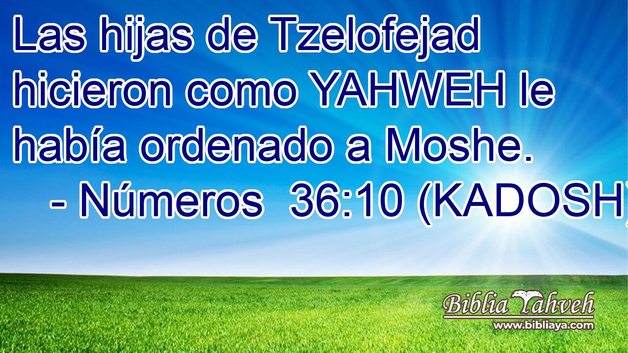  Las hijas de Tzelofejad hicieron como YAHWEH le había ordenado a Moshe. 