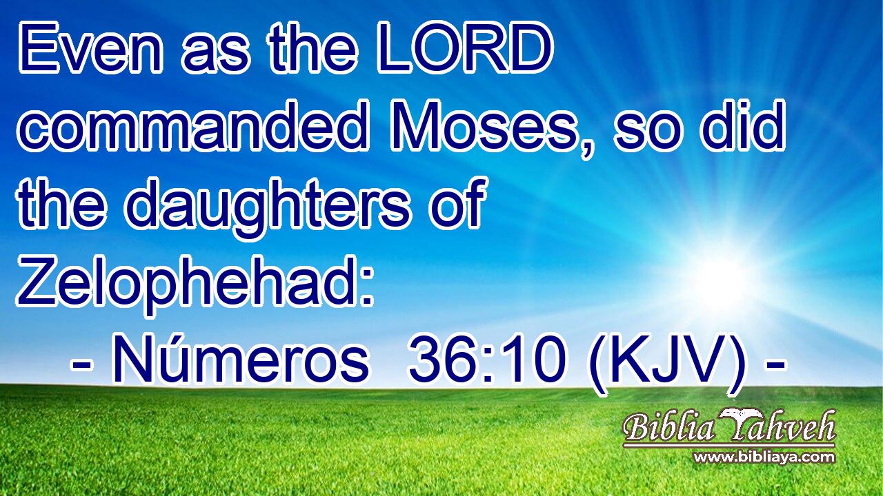 Even as the LORD commanded Moses, so did the daughters of Zelophehad: