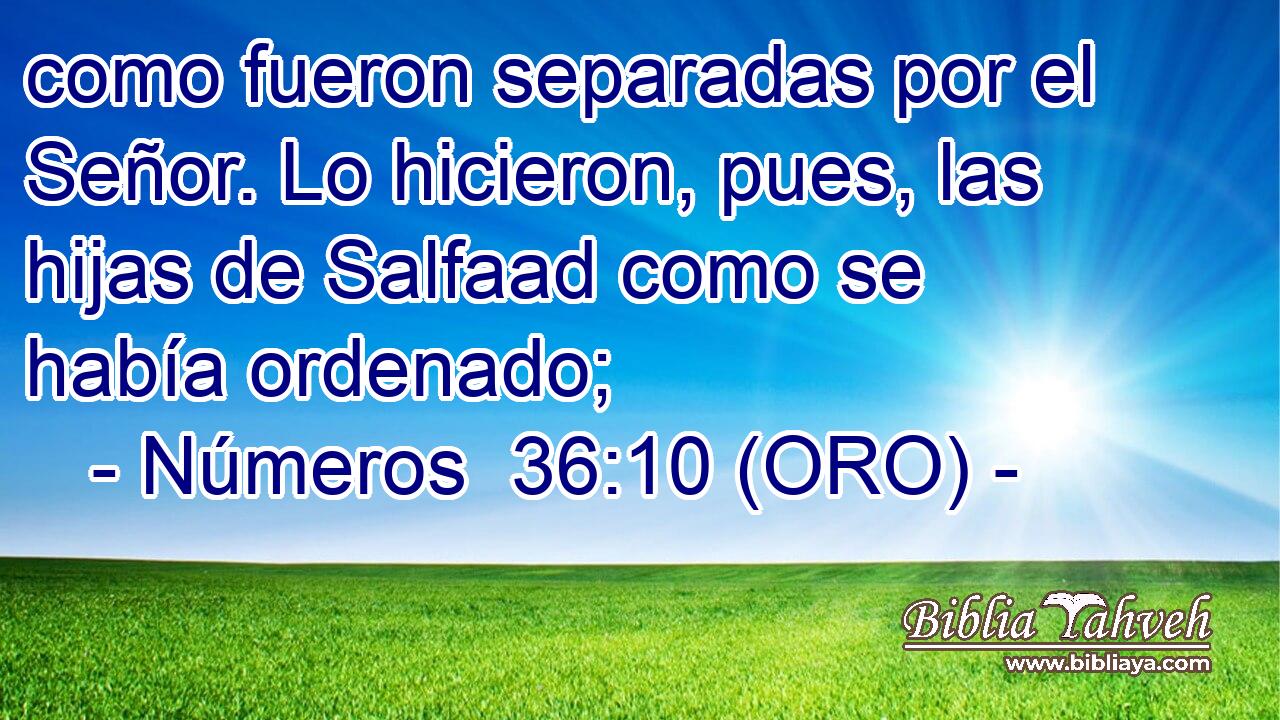  como fueron separadas por el Señor. Lo hicieron, pues, las hijas de Salfaad como se había ordenado; 