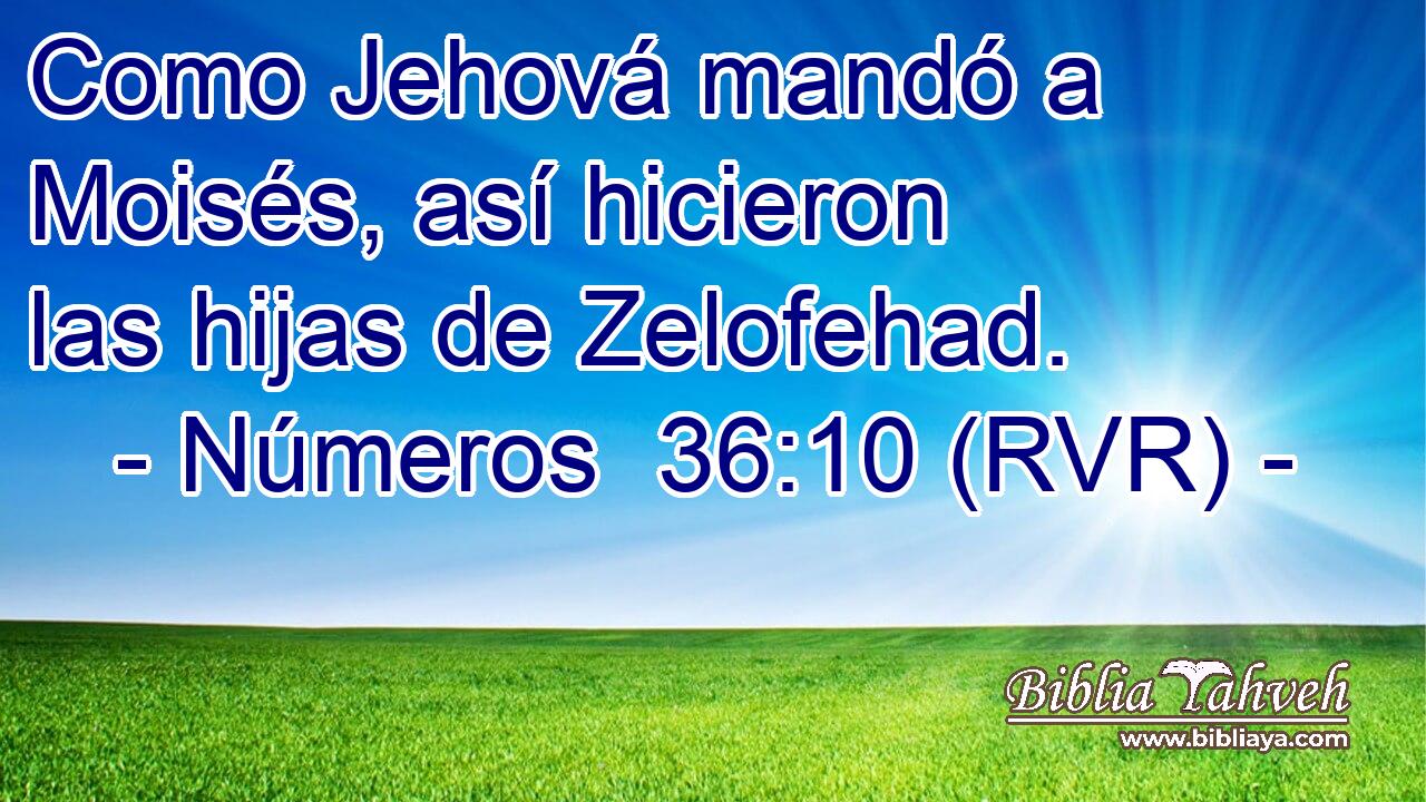 Como Jehová mandó a Moisés, así hicieron las hijas de Zelofehad.