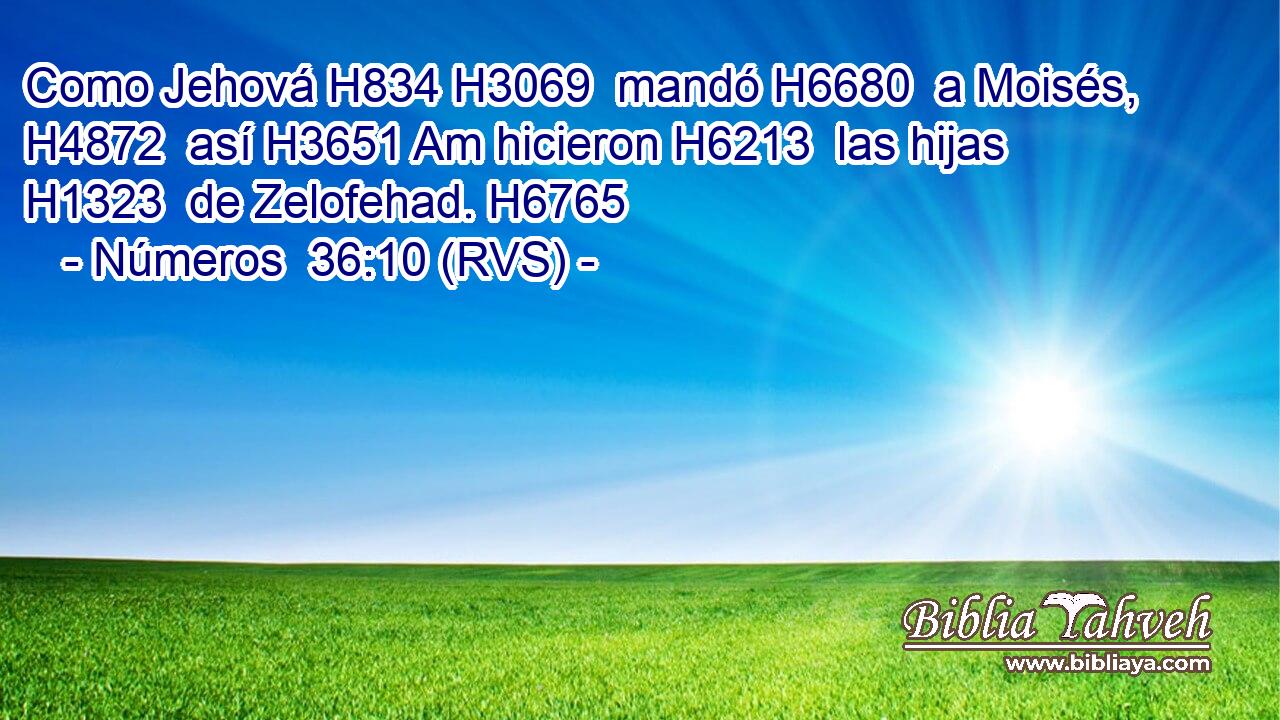 Como Jehová H834 H3069  mandó H6680  a Moisés, H4872  así H3651 Am hicieron H6213  las hijas H1323  de Zelofehad. H6765  