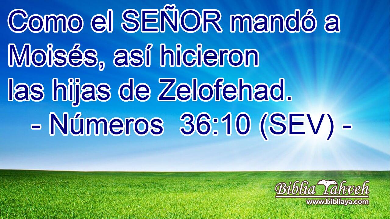 Como el SEÑOR mandó a Moisés, así hicieron las hijas de Zelofehad.