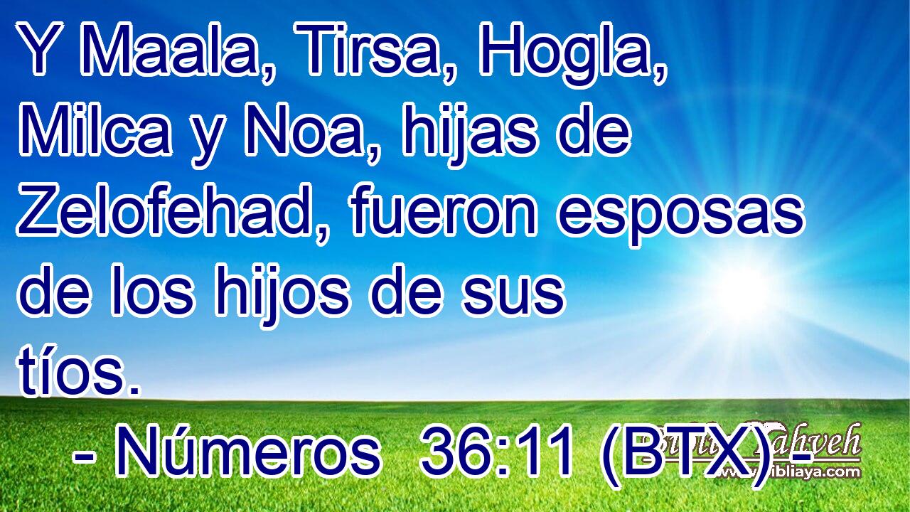 Y Maala, Tirsa, Hogla, Milca y Noa, hijas de Zelofehad, fueron esposas de los hijos de sus tíos.