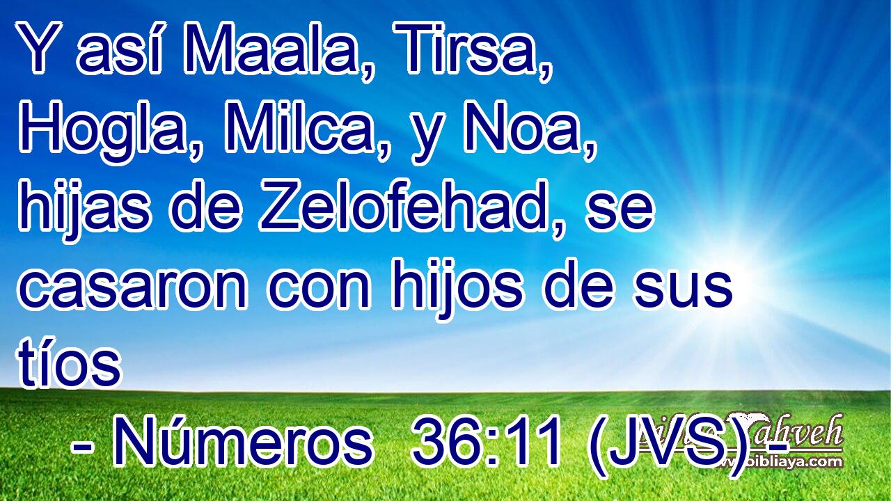 Y así Maala, Tirsa, Hogla, Milca, y Noa, hijas de Zelofehad, se casaron con hijos de sus tíos
