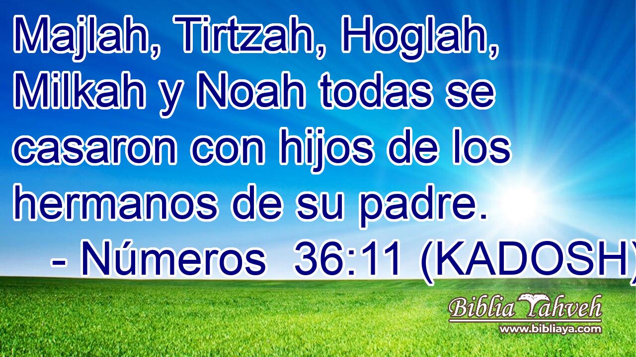  Majlah, Tirtzah, Hoglah, Milkah y Noah todas se casaron con hijos de los hermanos de su padre. 