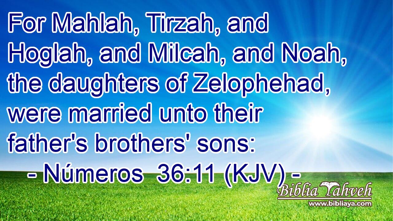 For Mahlah, Tirzah, and Hoglah, and Milcah, and Noah, the daughters of Zelophehad, were married unto their father's brothers' sons: