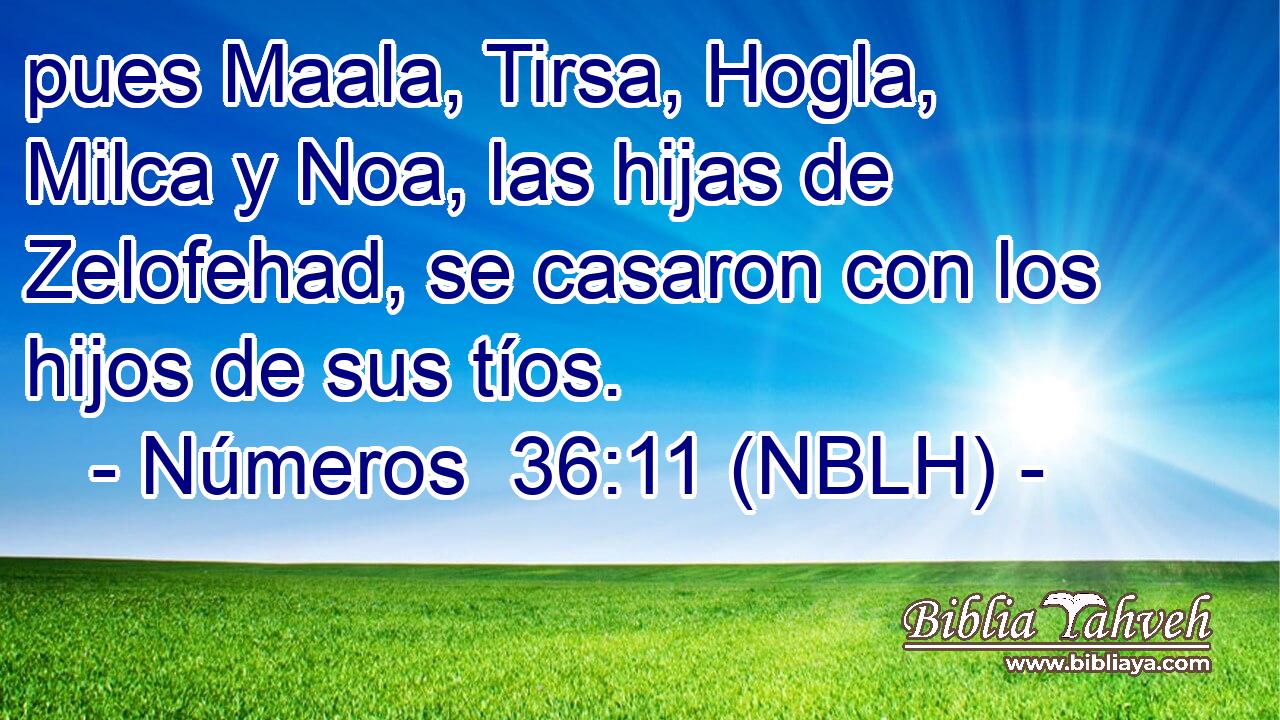  pues Maala, Tirsa, Hogla, Milca y Noa, las hijas de Zelofehad, se casaron con los hijos de sus tíos. 