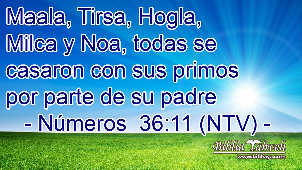 Maala, Tirsa, Hogla, Milca y Noa, todas se casaron con sus primos por parte de su padre