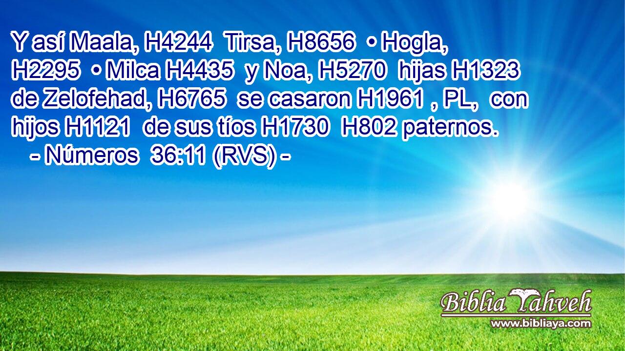Y así Maala, H4244  Tirsa, H8656  • Hogla, H2295  • Milca H4435  y Noa, H5270  hijas H1323  de Zelofehad, H6765  se casaron H1961 , PL,  con hijos H1121  de sus tíos H1730  H802 paternos. 
