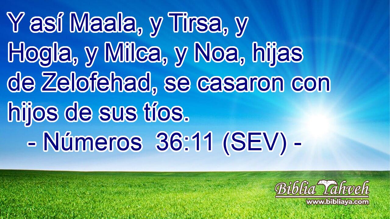 Y así Maala, y Tirsa, y Hogla, y Milca, y Noa, hijas de Zelofehad, se casaron con hijos de sus tíos.
