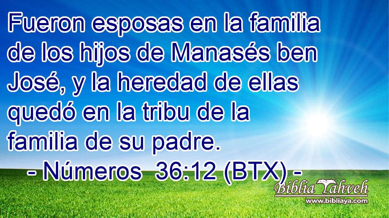 Fueron esposas en la familia de los hijos de Manasés ben José, y la heredad de ellas quedó en la tribu de la familia de su padre.