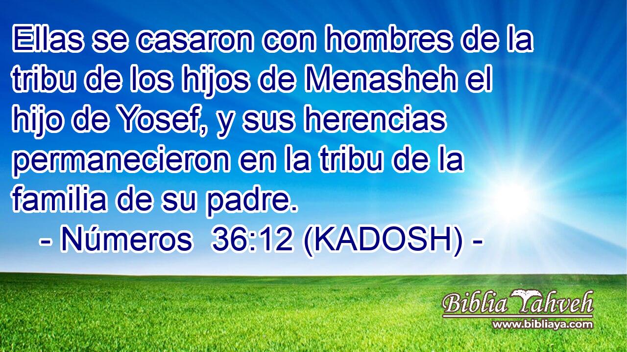  Ellas se casaron con hombres de la tribu de los hijos de Menasheh el hijo de Yosef, y sus herencias permanecieron en la tribu de la familia de su padre. 