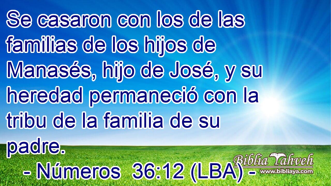 Se casaron con los de las familias de los hijos de Manasés, hijo de José, y su heredad permaneció con la tribu de la familia de su padre.