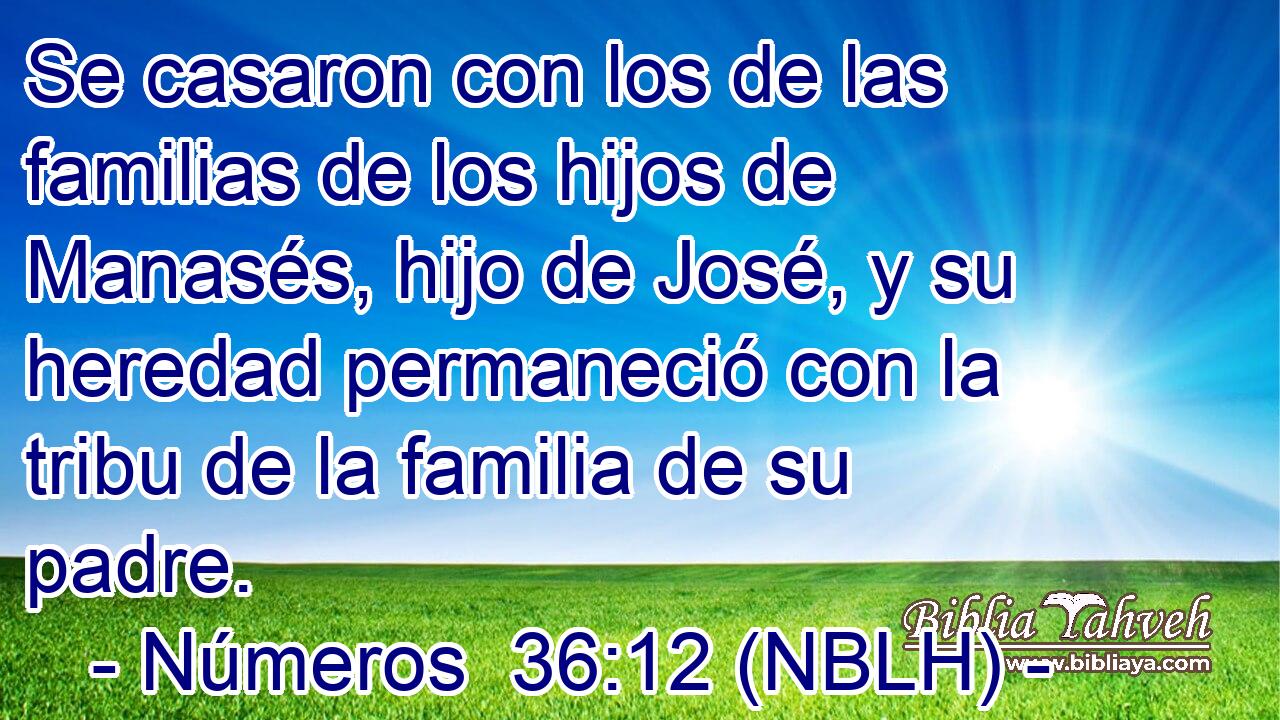  Se casaron con los de las familias de los hijos de Manasés, hijo de José, y su heredad permaneció con la tribu de la familia de su padre. 