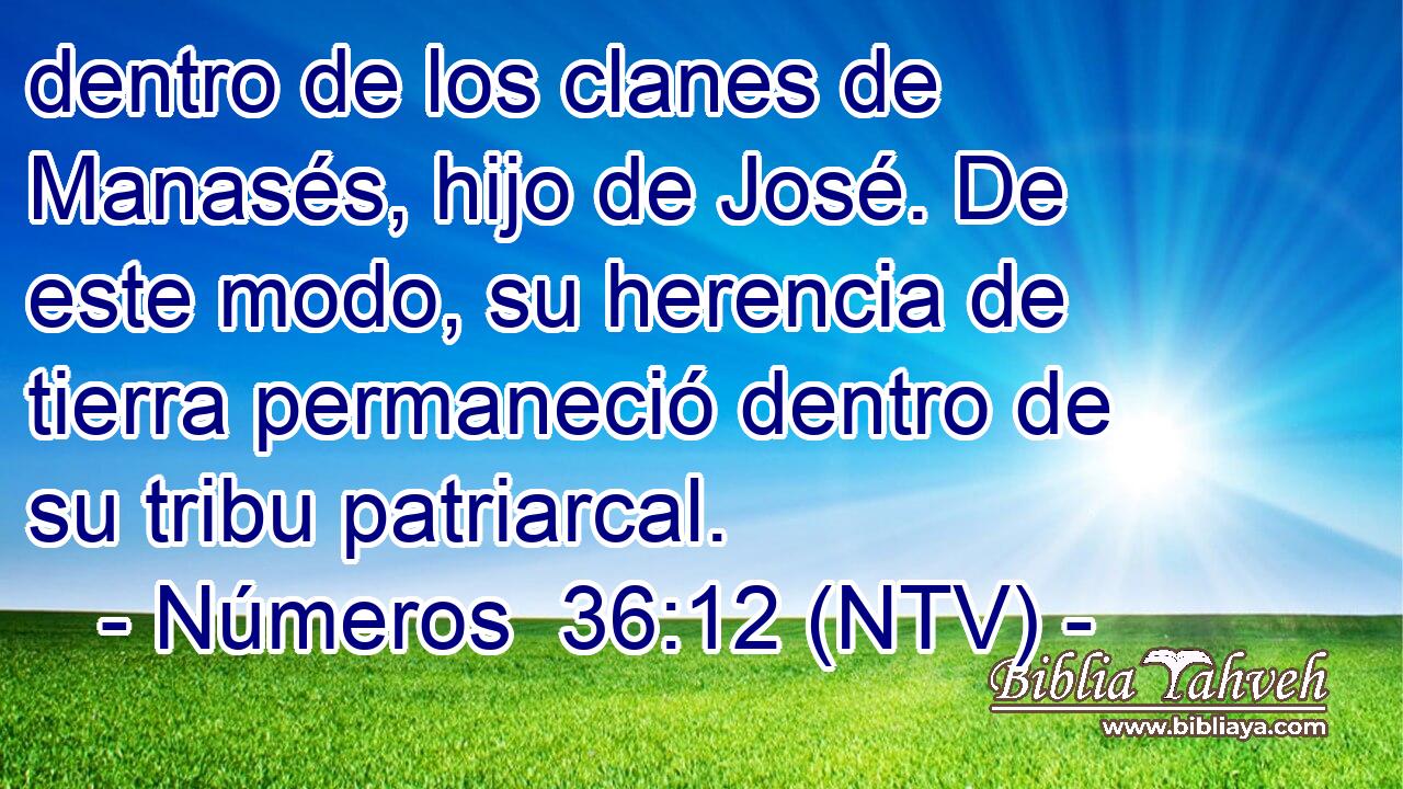 dentro de los clanes de Manasés, hijo de José. De este modo, su herencia de tierra permaneció dentro de su tribu patriarcal.