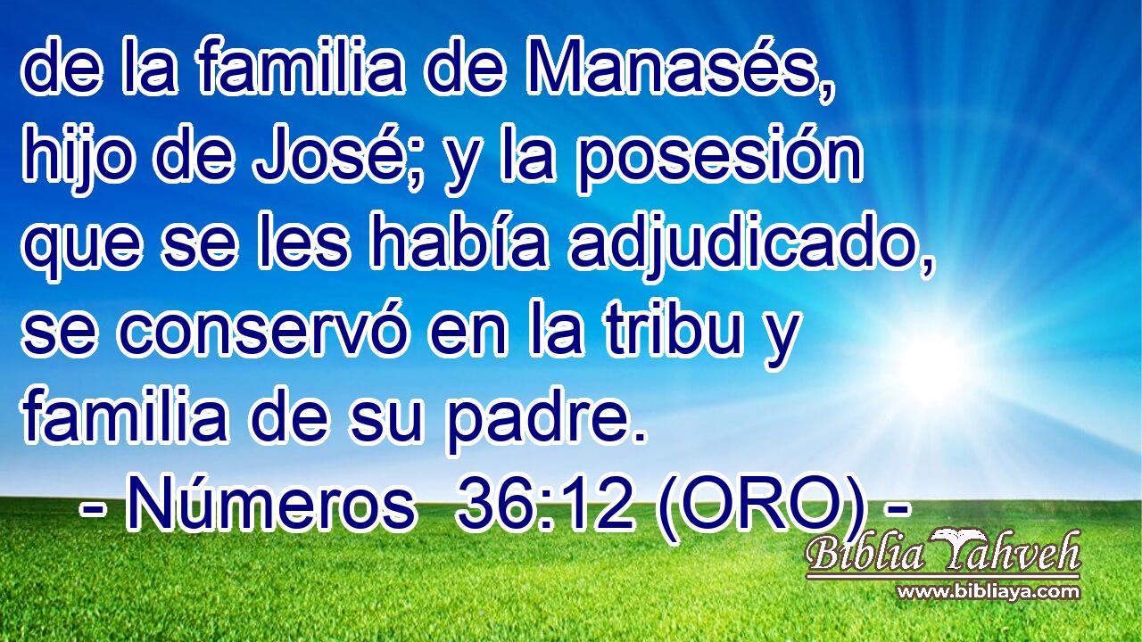  de la familia de Manasés, hijo de José; y la posesión que se les había adjudicado, se conservó en la tribu y familia de su padre. 