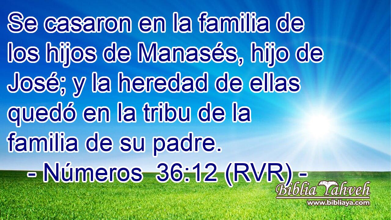 Se casaron en la familia de los hijos de Manasés, hijo de José; y la heredad de ellas quedó en la tribu de la familia de su padre.