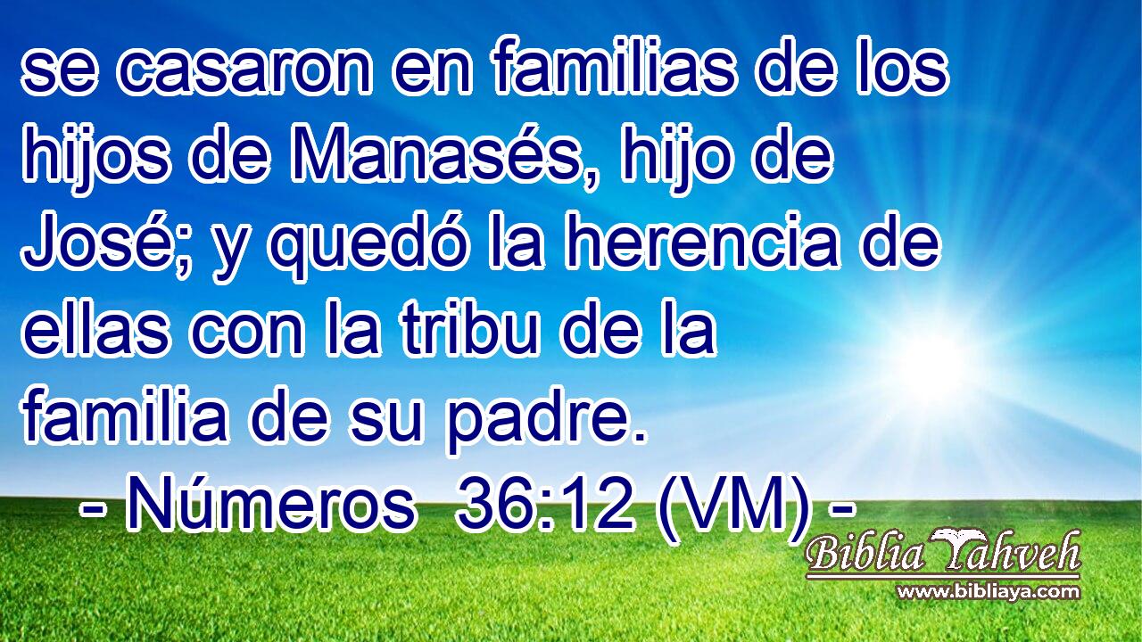  se casaron en familias de los hijos de Manasés, hijo de José; y quedó la herencia de ellas con la tribu de la familia de su padre. 