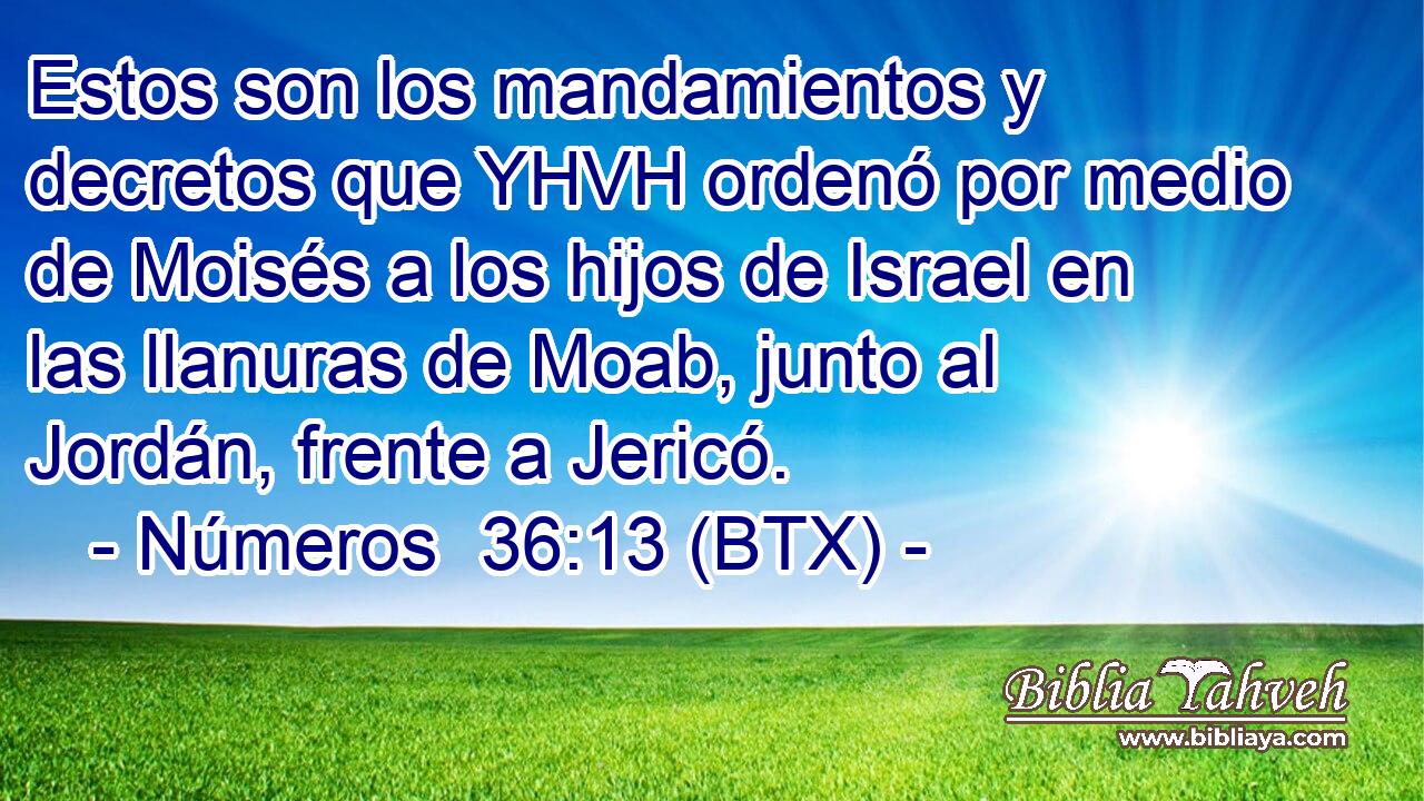 Estos son los mandamientos y decretos que YHVH ordenó por medio de Moisés a los hijos de Israel en las llanuras de Moab, junto al Jordán, frente a Jericó.