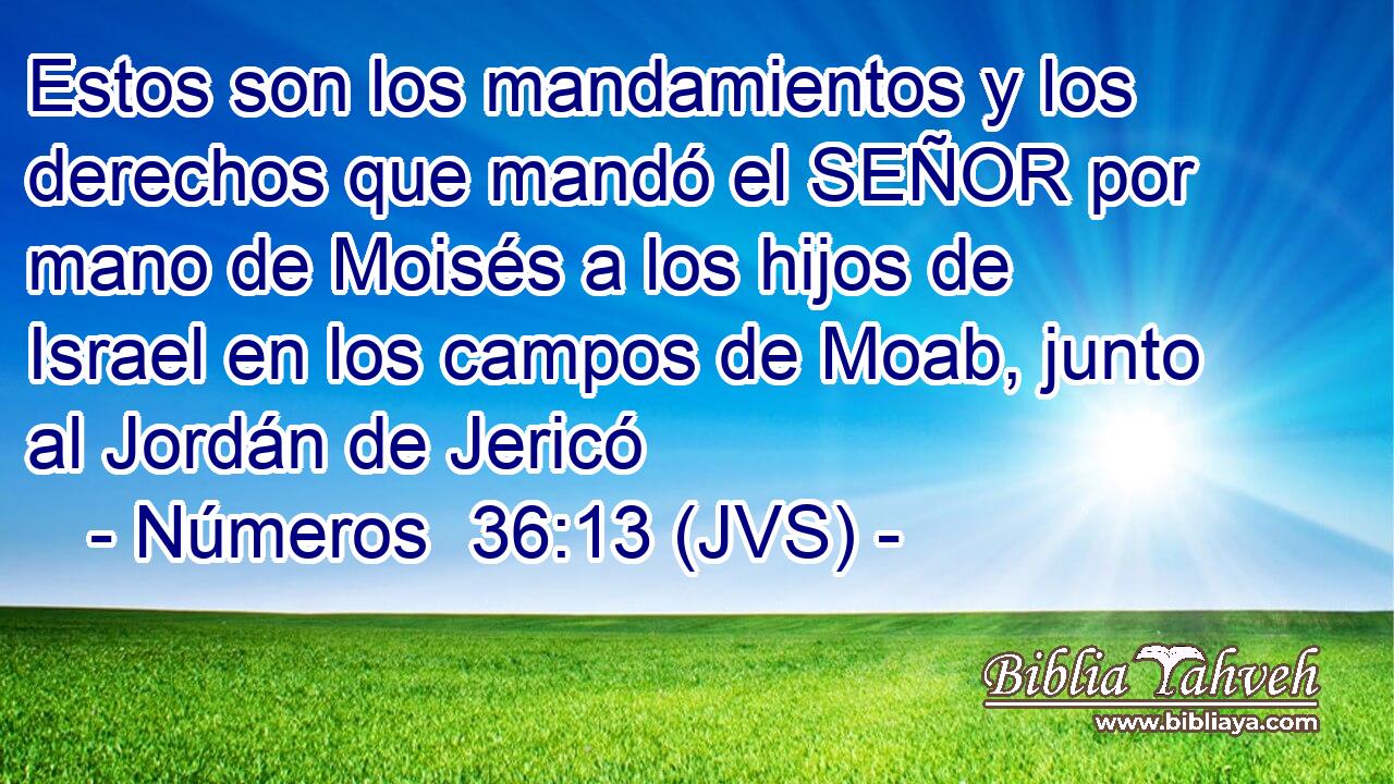 Estos son los mandamientos y los derechos que mandó el SEÑOR por mano de Moisés a los hijos de Israel en los campos de Moab, junto al Jordán de Jericó