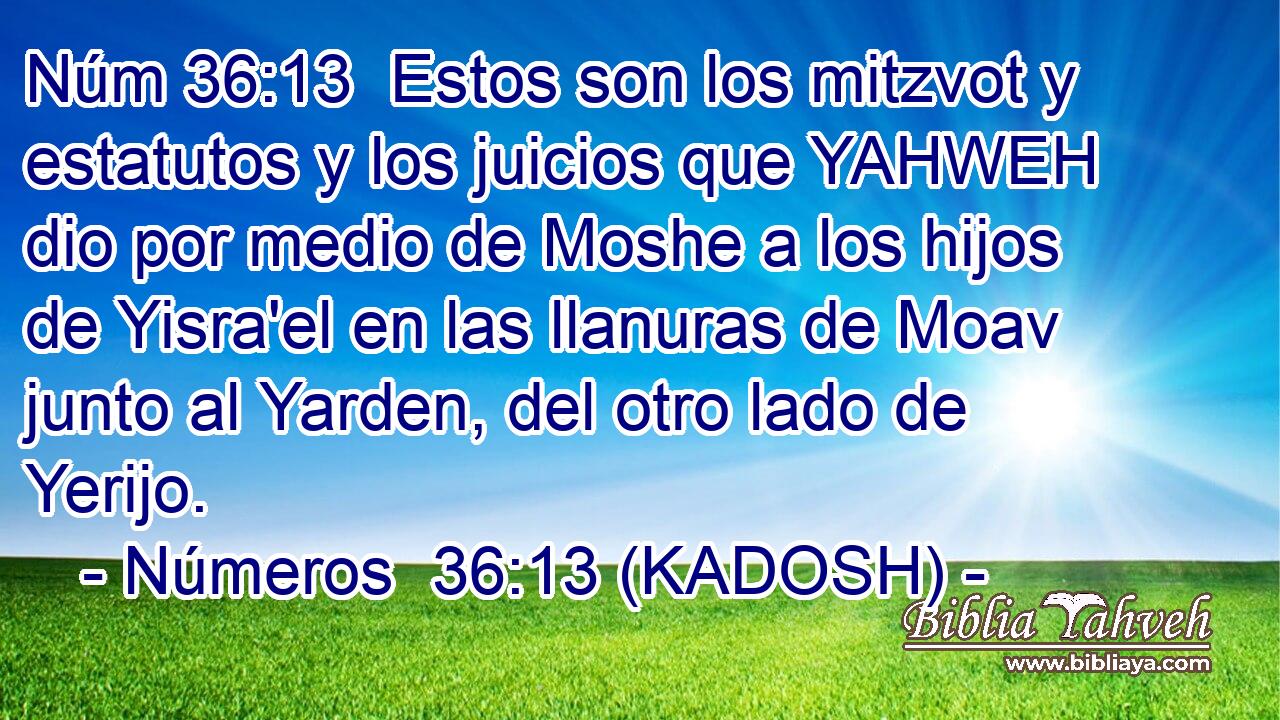  Estos son los mitzvot y estatutos y los juicios que YAHWEH dio por medio de Moshe a los hijos de Yisra'el en las llanuras de Moav junto al Yarden, del otro lado de Yerijo. 