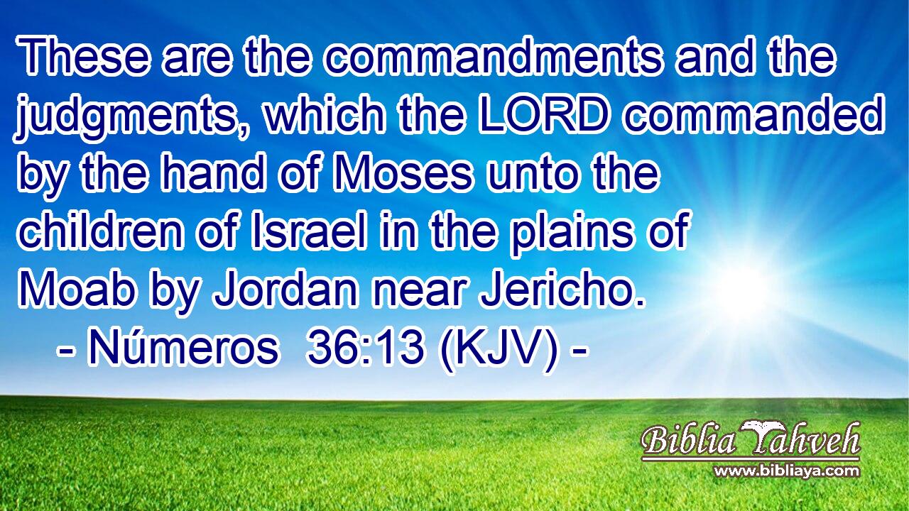 These are the commandments and the judgments, which the LORD commanded by the hand of Moses unto the children of Israel in the plains of Moab by Jordan near Jericho.