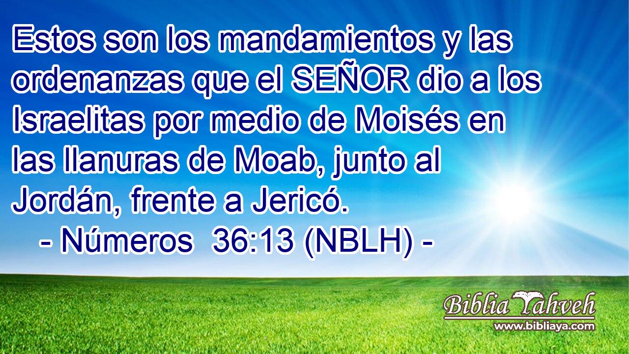  Estos son los mandamientos y las ordenanzas que el SEÑOR dio a los Israelitas por medio de Moisés en las llanuras de Moab, junto al Jordán, frente a Jericó. 