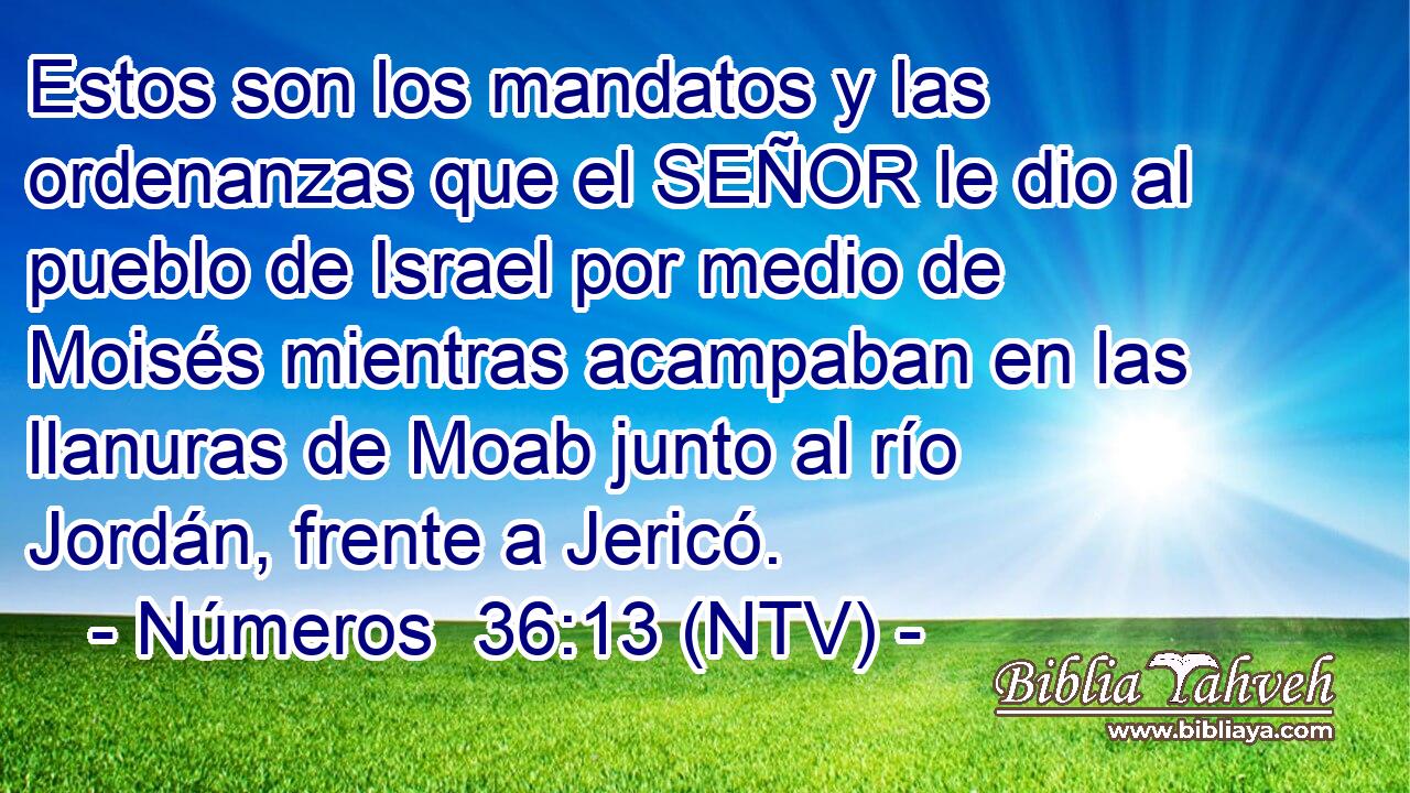 Estos son los mandatos y las ordenanzas que el SEÑOR le dio al pueblo de Israel por medio de Moisés mientras acampaban en las llanuras de Moab junto al río Jordán, frente a Jericó.