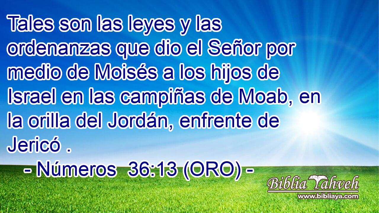  Tales son las leyes y las ordenanzas que dio el Señor por medio de Moisés a los hijos de Israel en las campiñas de Moab, en la orilla del Jordán, enfrente de Jericó . 