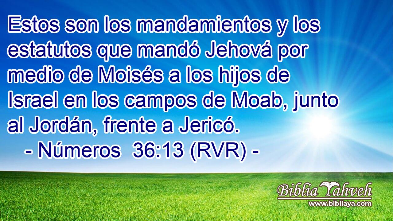 Estos son los mandamientos y los estatutos que mandó Jehová por medio de Moisés a los hijos de Israel en los campos de Moab, junto al Jordán, frente a Jericó.