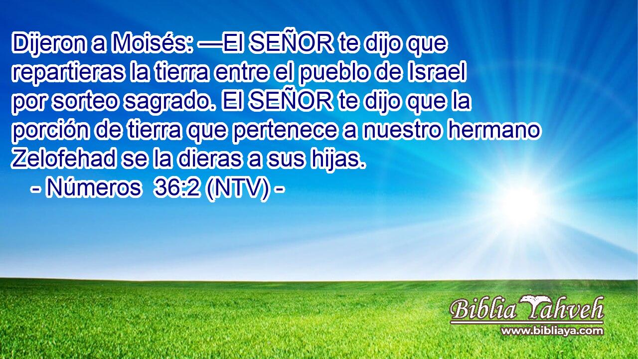 Dijeron a Moisés: —El SEÑOR te dijo que repartieras la tierra entre el pueblo de Israel por sorteo sagrado. El SEÑOR te dijo que la porción de tierra que pertenece a nuestro hermano Zelofehad se la dieras a sus hijas.
