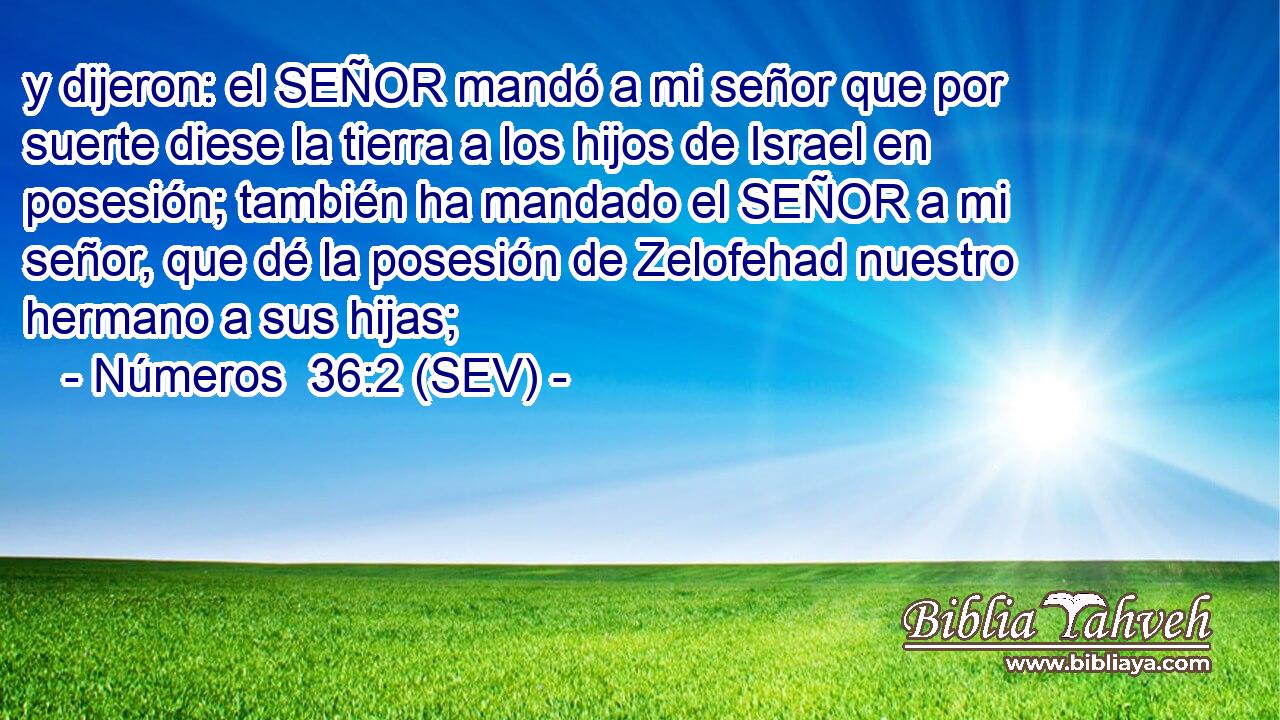 y dijeron: el SEÑOR mandó a mi señor que por suerte diese la tierra a los hijos de Israel en posesión; también ha mandado el SEÑOR a mi señor, que dé la posesión de Zelofehad nuestro hermano a sus hijas;