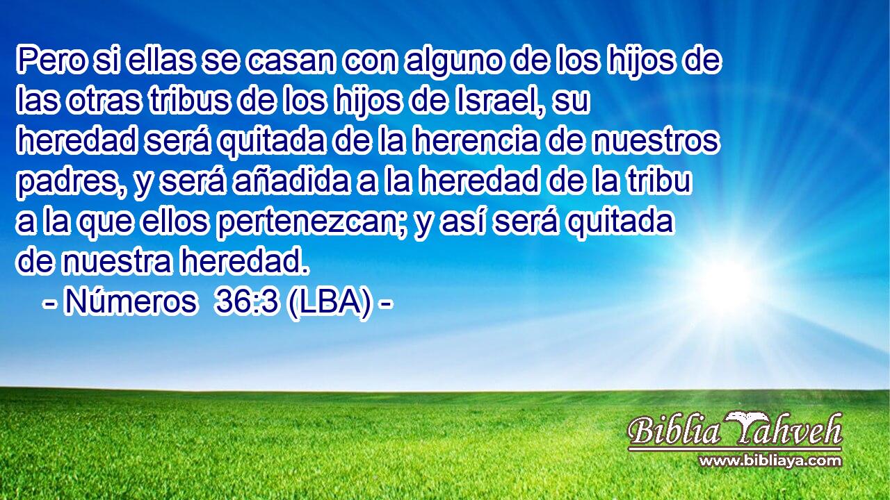 Pero si ellas se casan con alguno de los hijos de las otras tribus de los hijos de Israel, su heredad será quitada de la herencia de nuestros padres, y será añadida a la heredad de la tribu a la que ellos pertenezcan; y así será quitada de nuestra heredad.