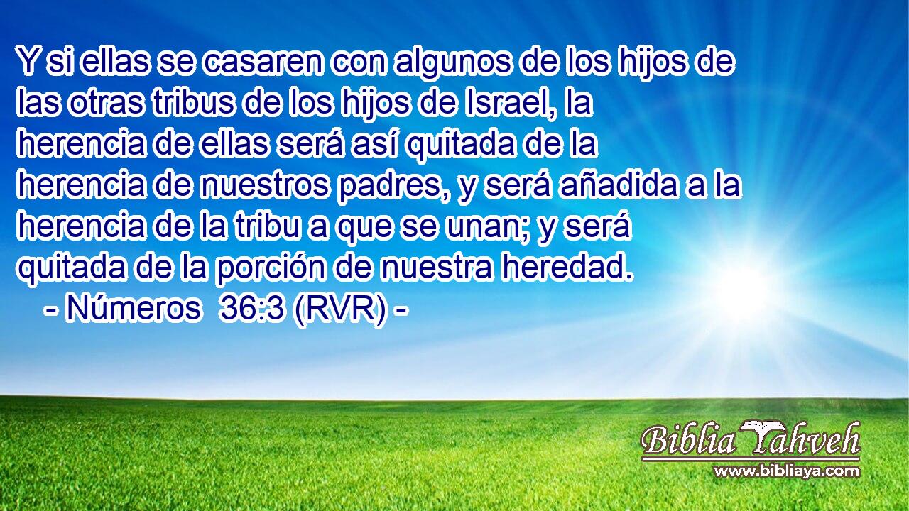 Y si ellas se casaren con algunos de los hijos de las otras tribus de los hijos de Israel, la herencia de ellas será así quitada de la herencia de nuestros padres, y será añadida a la herencia de la tribu a que se unan; y será quitada de la porción de nuestra heredad.