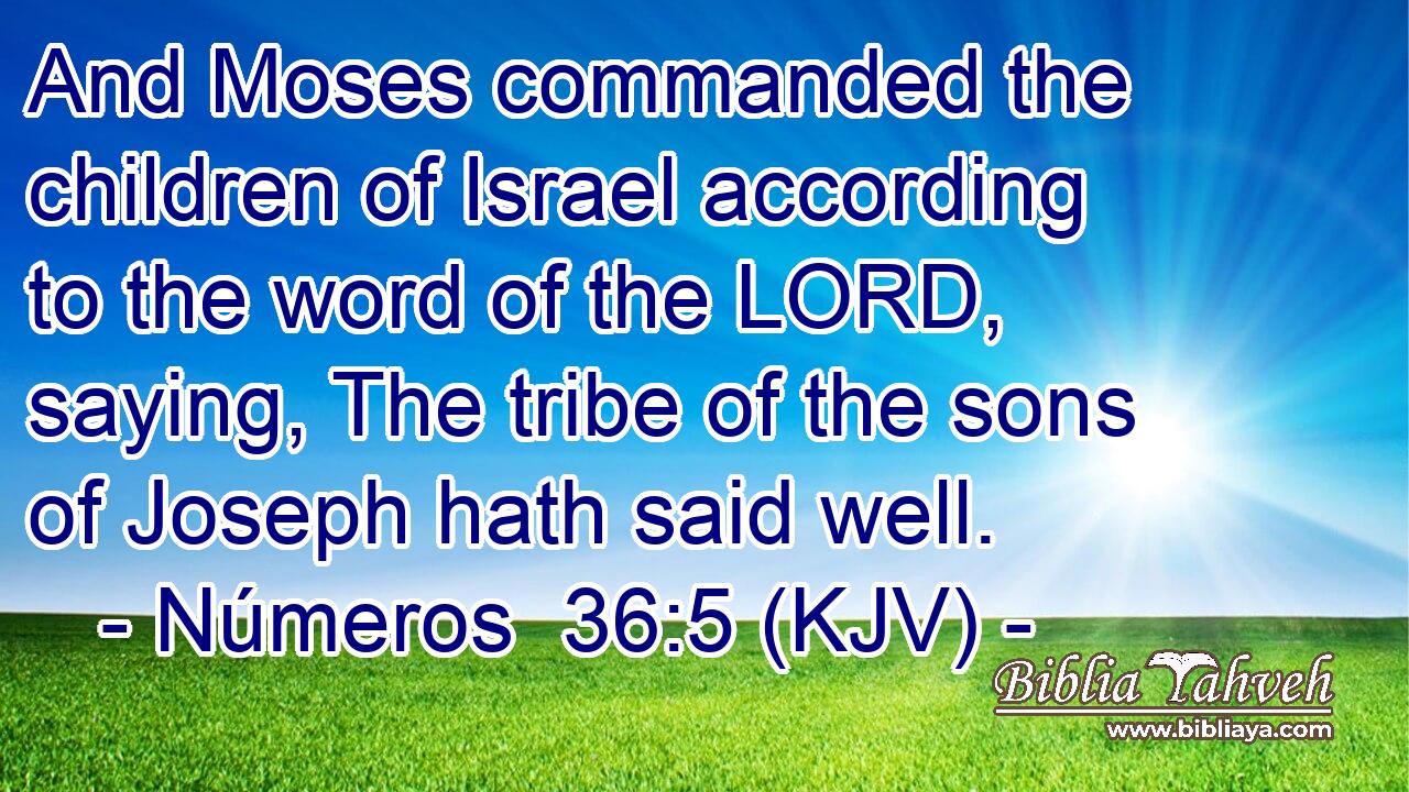 And Moses commanded the children of Israel according to the word of the LORD, saying, The tribe of the sons of Joseph hath said well.