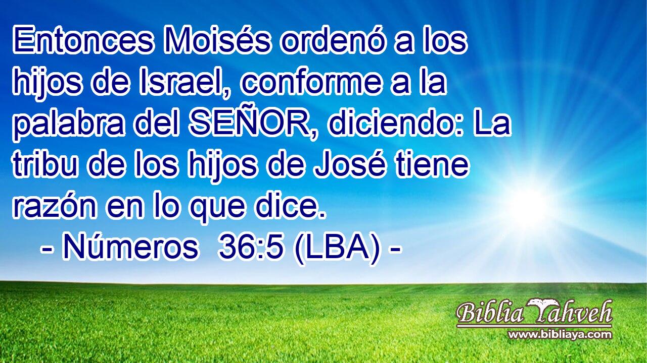 Entonces Moisés ordenó a los hijos de Israel, conforme a la palabra del SEÑOR, diciendo: La tribu de los hijos de José tiene razón en lo que dice.