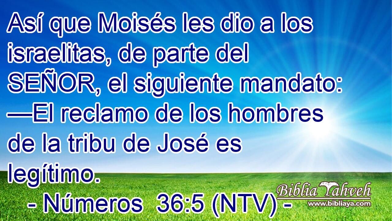 Así que Moisés les dio a los israelitas, de parte del SEÑOR, el siguiente mandato: —El reclamo de los hombres de la tribu de José es legítimo.