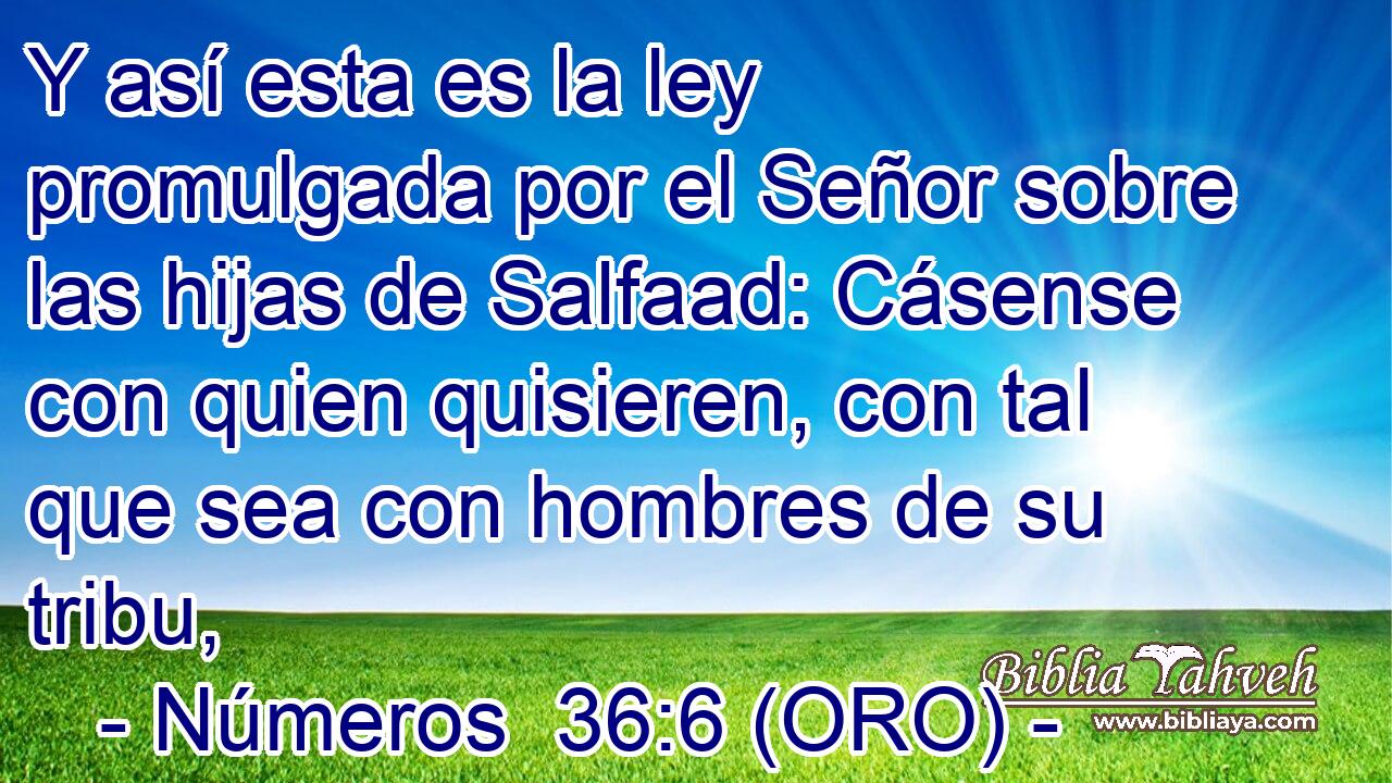  Y así esta es la ley promulgada por el Señor sobre las hijas de Salfaad: Cásense con quien quisieren, con tal que sea con hombres de su tribu, 