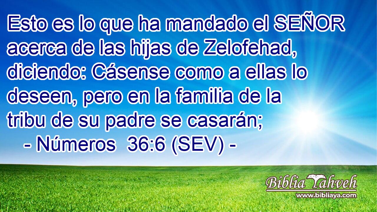 Esto es lo que ha mandado el SEÑOR acerca de las hijas de Zelofehad, diciendo: Cásense como a ellas lo deseen, pero en la familia de la tribu de su padre se casarán;