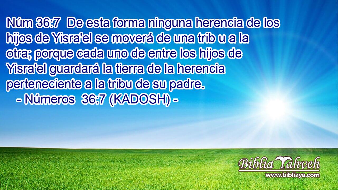  De esta forma ninguna herencia de los hijos de Yisra'el se moverá de una trib u a la otra; porque cada uno de entre los hijos de Yisra'el guardará la tierra de la herencia perteneciente a la tribu de su padre. 
