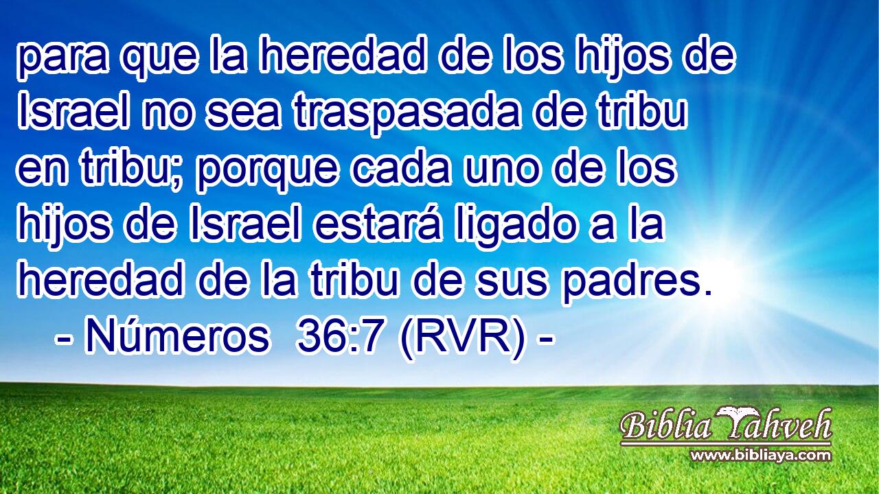 para que la heredad de los hijos de Israel no sea traspasada de tribu en tribu; porque cada uno de los hijos de Israel estará ligado a la heredad de la tribu de sus padres.