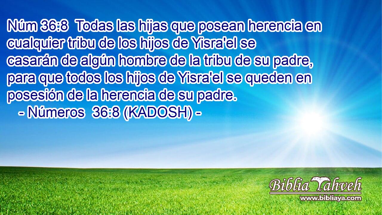  Todas las hijas que posean herencia en cualquier tribu de los hijos de Yisra'el se casarán de algún hombre de la tribu de su padre, para que todos los hijos de Yisra'el se queden en posesión de la herencia de su padre. 