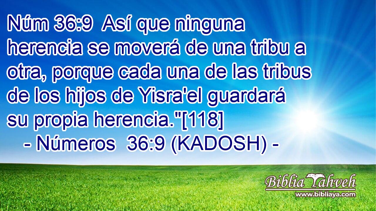  Así que ninguna herencia se moverá de una tribu a otra, porque cada una de las tribus de los hijos de Yisra'el guardará su propia herencia.