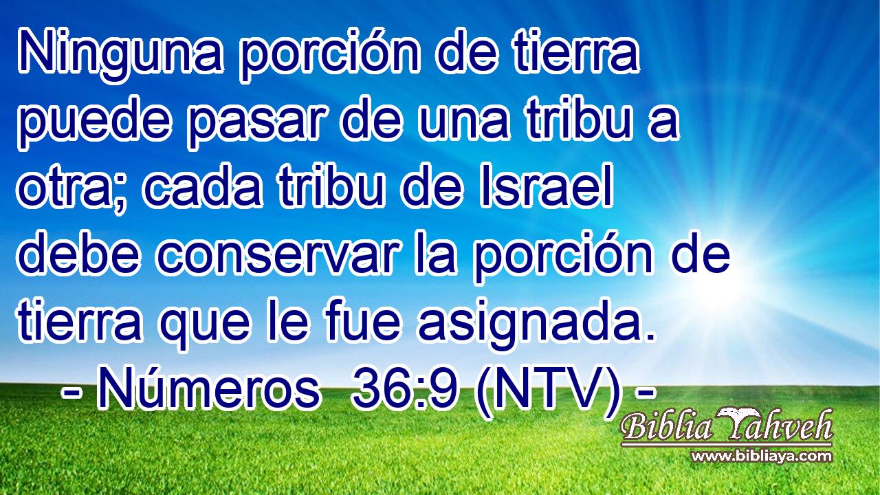Ninguna porción de tierra puede pasar de una tribu a otra; cada tribu de Israel debe conservar la porción de tierra que le fue asignada.