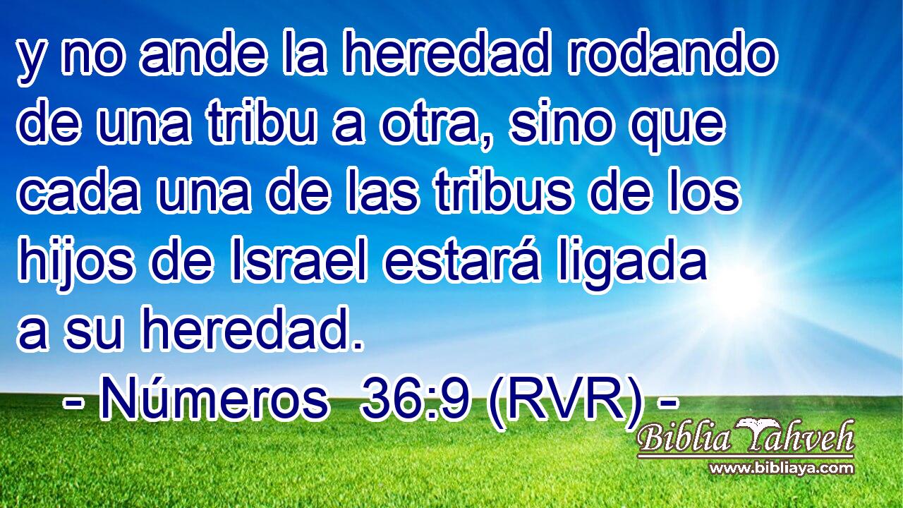y no ande la heredad rodando de una tribu a otra, sino que cada una de las tribus de los hijos de Israel estará ligada a su heredad.