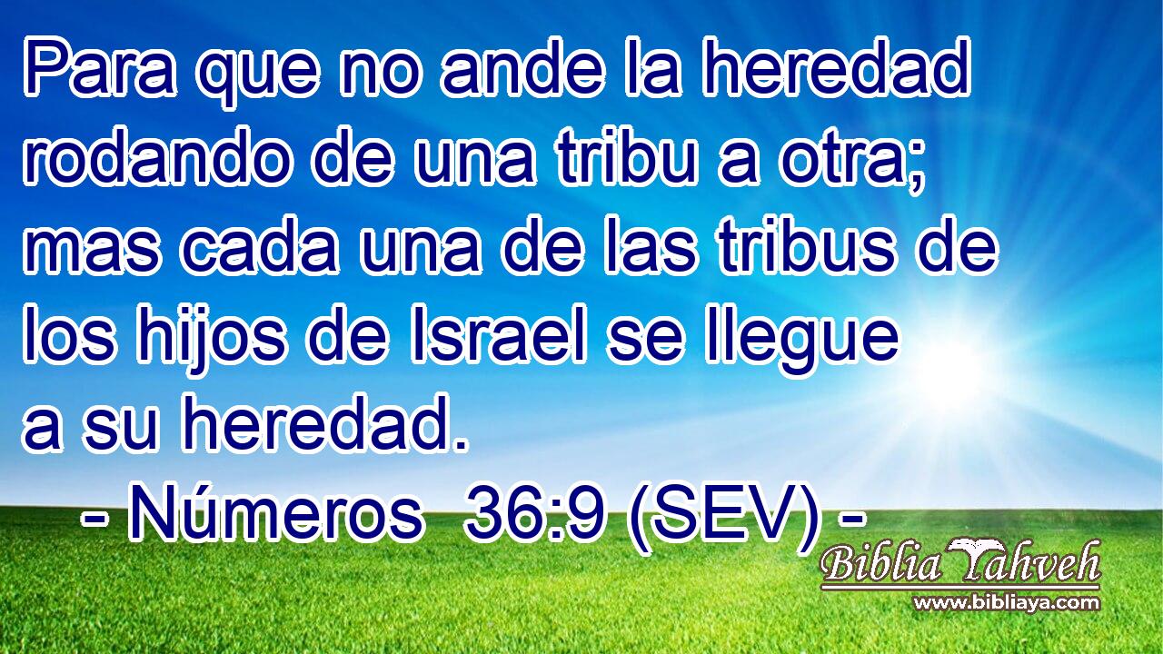 Para que no ande la heredad rodando de una tribu a otra; mas cada una de las tribus de los hijos de Israel se llegue a su heredad.