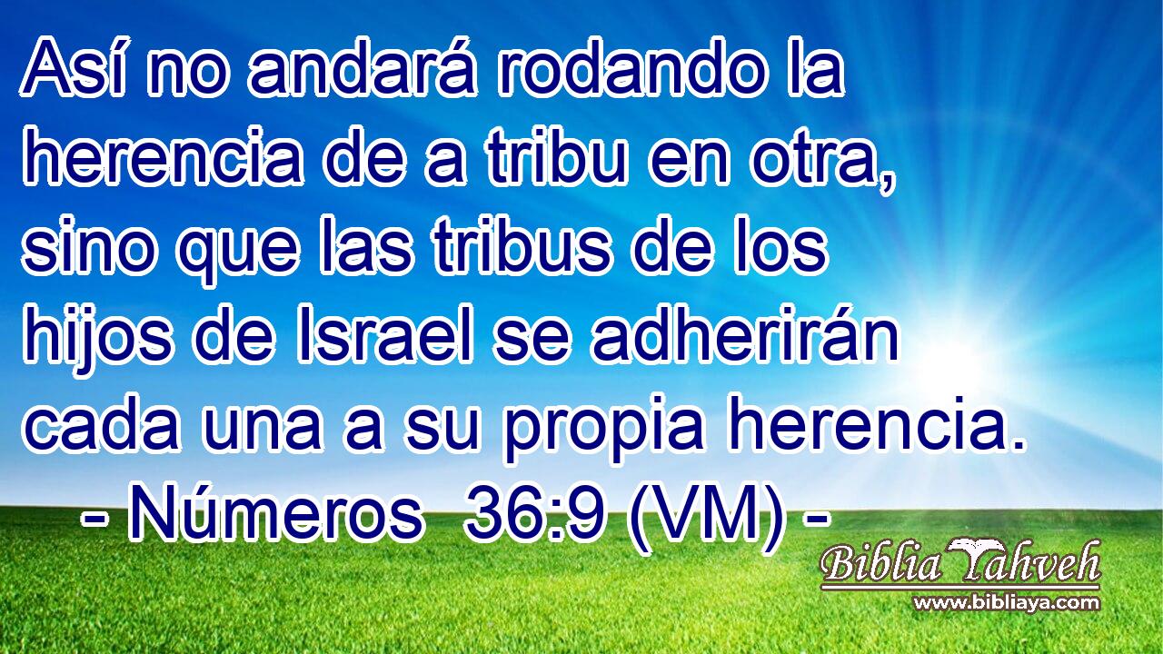  Así no andará rodando la herencia de a tribu en otra, sino que las tribus de los hijos de Israel se adherirán cada una a su propia herencia. 