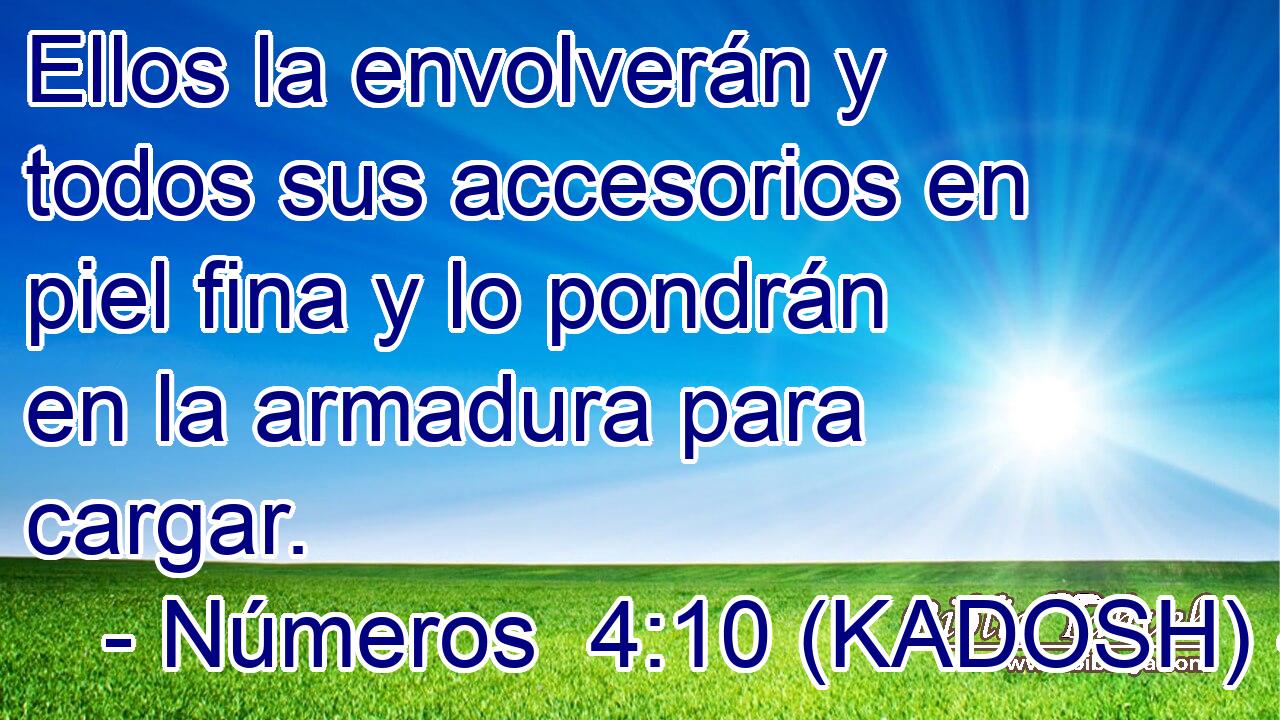  Ellos la envolverán y todos sus accesorios en piel fina y lo pondrán en la armadura para cargar. 
